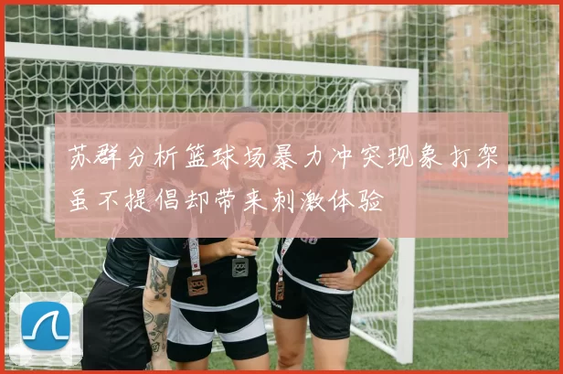 苏群分析篮球场暴力冲突现象打架虽不提倡却带来刺激体验