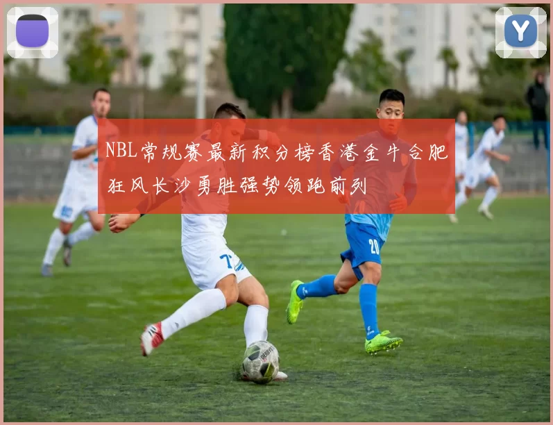 NBL常规赛最新积分榜香港金牛合肥狂风长沙勇胜强势领跑前列