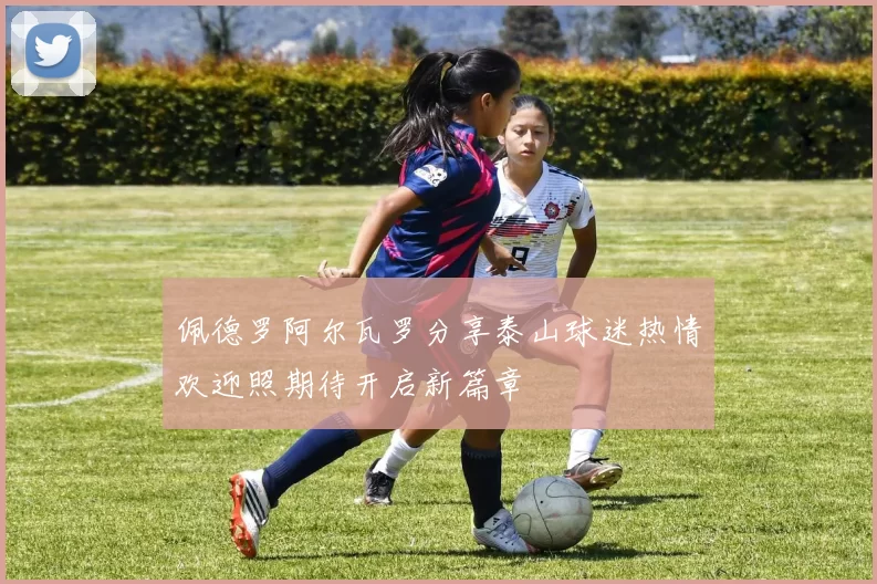 佩德罗阿尔瓦罗分享泰山球迷热情欢迎照期待开启新篇章
